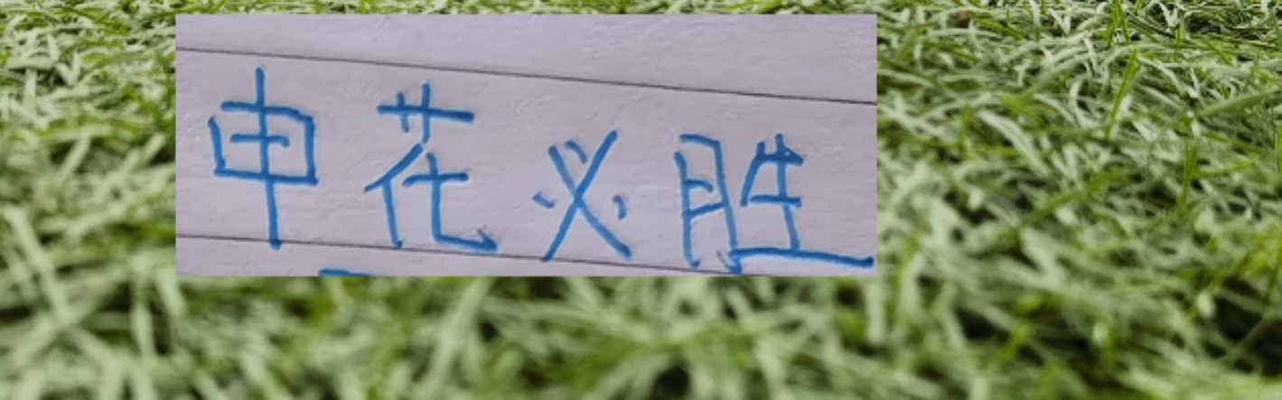 开云官方app-第8轮中超未扣分纯净版！可能才是申花球迷最想要积分榜