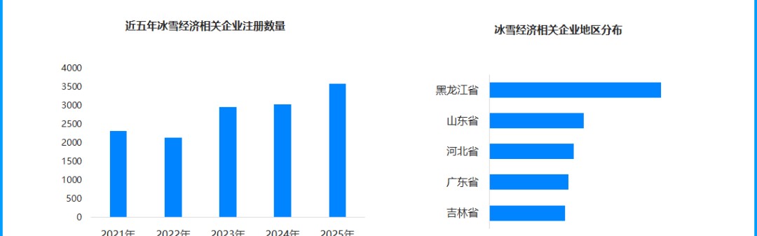 开云体育-城市滑雪场“零门槛”，谁在运营？